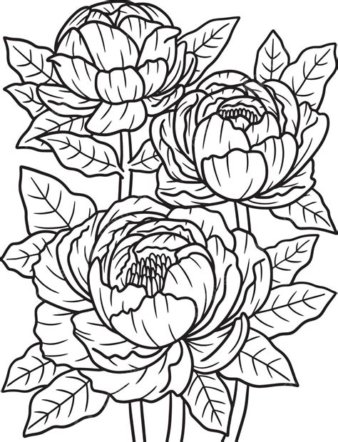 printable pictures of peonies